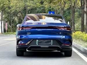 BYD HAN DM