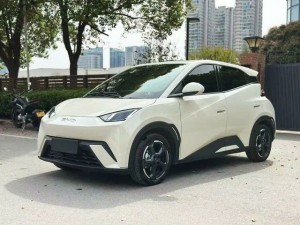 BYD Seagull