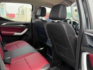 Maxus Interstellar R
