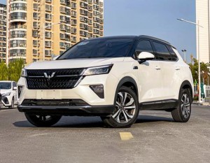 Wuling Asta (Star)