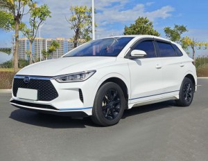 BYD e2