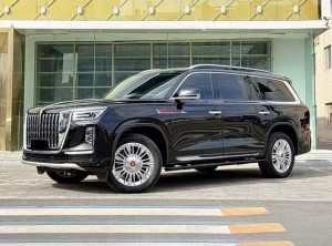 Hongqi LS7 (Red Flag Golden Sunflower National Glory)