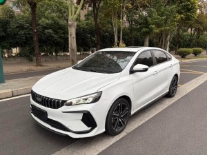 Geely Binrui