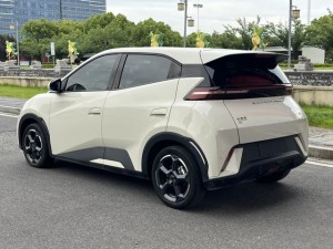 BYD Seagull
