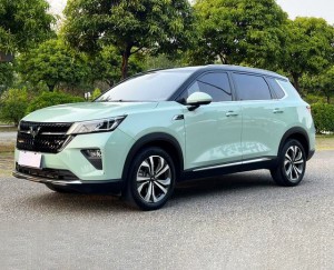 Wuling Asta (Star)