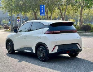 BYD Seagull