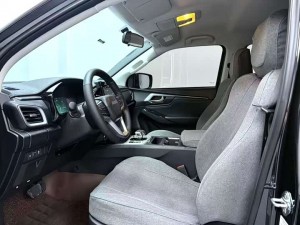 Isuzu Lingtuo