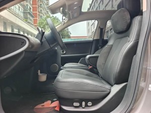 NIO Firefly