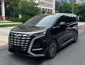Denza D9 DM