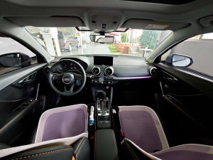 Audi Q2L e-tron