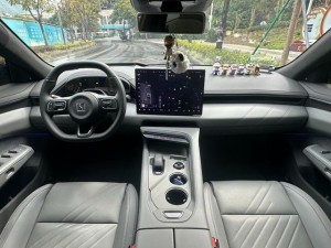 ZEEKR 001