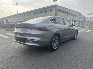 BYD Qin PLUS DM