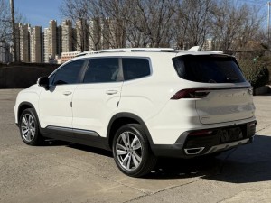 Geely Okavango