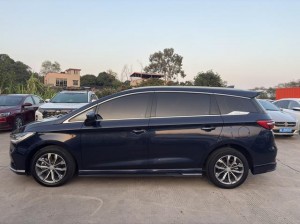BYD Song MAX DM