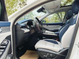 Geely Preface (Xing Rui)