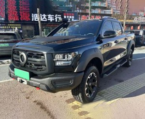 Great Wall Shanhaipao Hi4-T