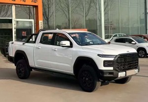 Chery Rely R08