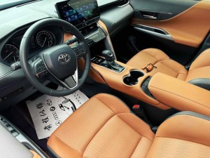 Toyota Venza (Wei Sa)