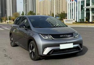 BYD Dolphin