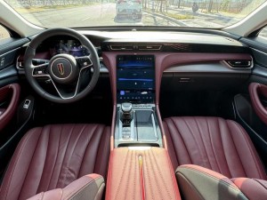 Hongqi H5