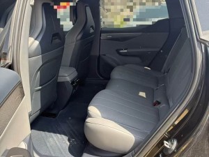 Lynk & Co 07 EM-P