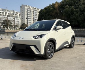 BYD Seagull