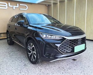BYD Tang DM
