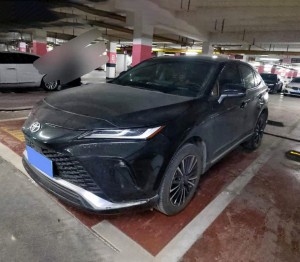 Toyota Venza (Wei Sa)