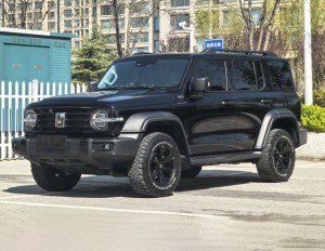 Tank 300
