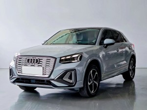 Audi Q2L e-tron