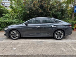 Hyundai Lafesta (Festa)