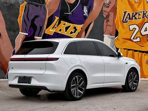Li L6 (Ideal L6)