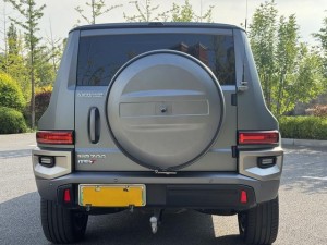 Tank 700 Hi4-T