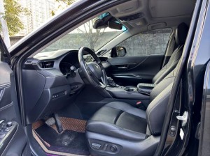 Toyota Venza (Wei Sa)