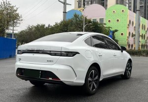 BYD Destroyer 05
