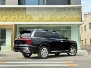 Hongqi LS7 (Red Flag Golden Sunflower National Glory)