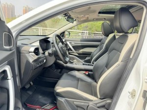 Geely Coolray SX11 (Binyue)