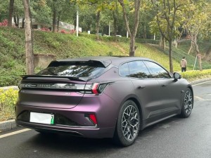 ZEEKR 001