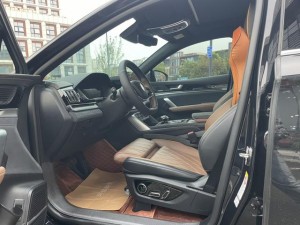 BYD Tang DM
