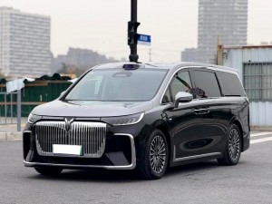 Voyah Lantu Dreamer PHEV