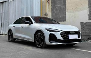 Audi A5L