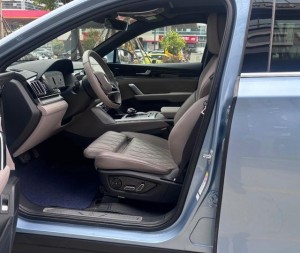 BYD Tang DM
