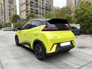 BYD Seagull