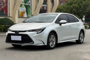 Toyota Levin (Lei Ling)