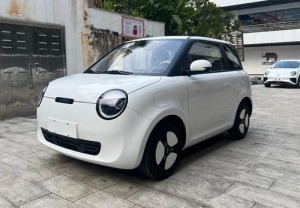 Changan Lumin