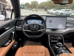 BYD Tang DM