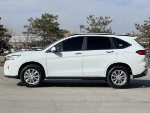 Haval M6 Plus