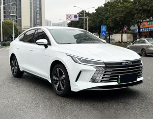 BYD Destroyer 05