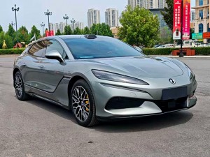 Denza Tengzhong Z9 DM