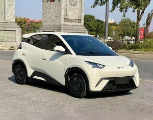 BYD Seagull